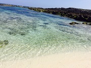 小野津プリンスビーチ（ハワイビーチ）